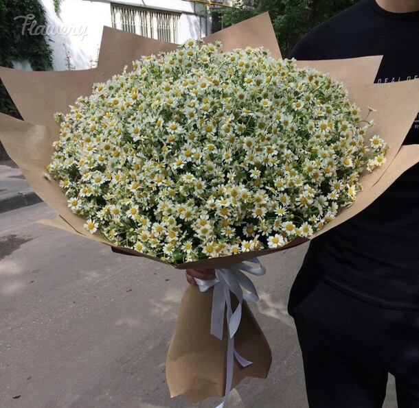 Букет из 51 ромашки, артикул F43648 - 13640 рублей, доставка по городу. Flawery - доставка цветов