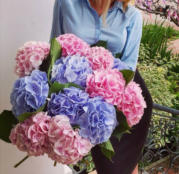 Букет из гортензии, артикул F81588 - 20763 рублей, доставка по городу. Flawery - доставка цветов