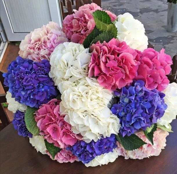 Микс гортензия, артикул F81589 - 40745 рублей, доставка по городу. Flawery - доставка цветов