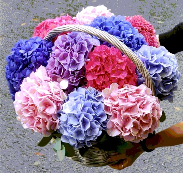 Микс гортензия, артикул F81594 - 37512 рублей, доставка по городу. Flawery - доставка цветов