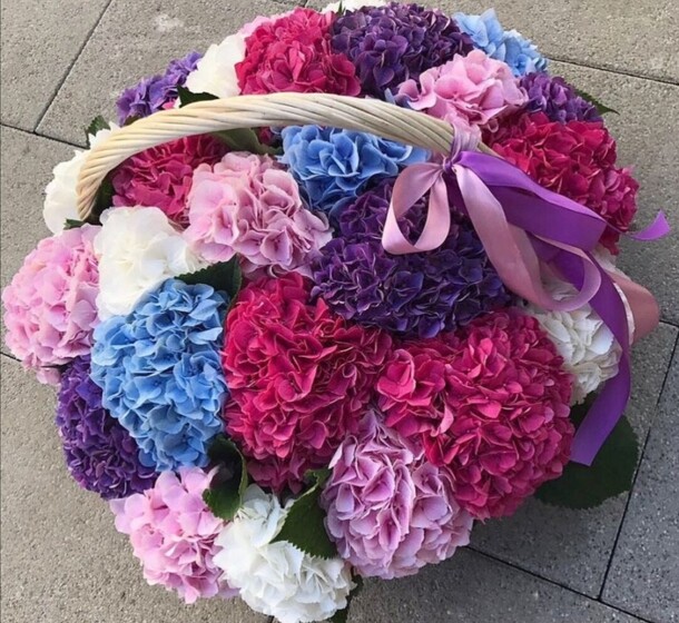 Гортензия в корзине., артикул F81595 - 59895 рублей, доставка по городу. Flawery - доставка цветов