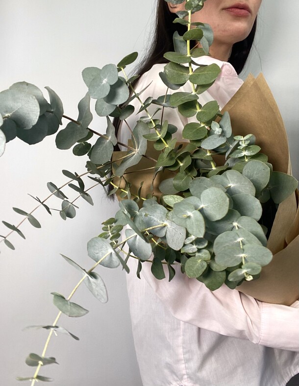 Букет ароматного эвкалипта, артикул F1253540 - 3600 рублей, доставка по городу. Flawery - доставка цветов