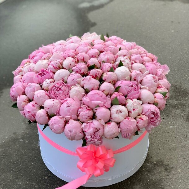 101 пион в коробке, артикул F1122919 - 82644 рублей, доставка по городу. Flawery - доставка цветов