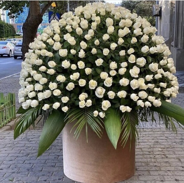 Огромный букет роз в огромной коробке, артикул F1125133 - 272727 рублей, доставка по городу. Flawery - доставка цветов