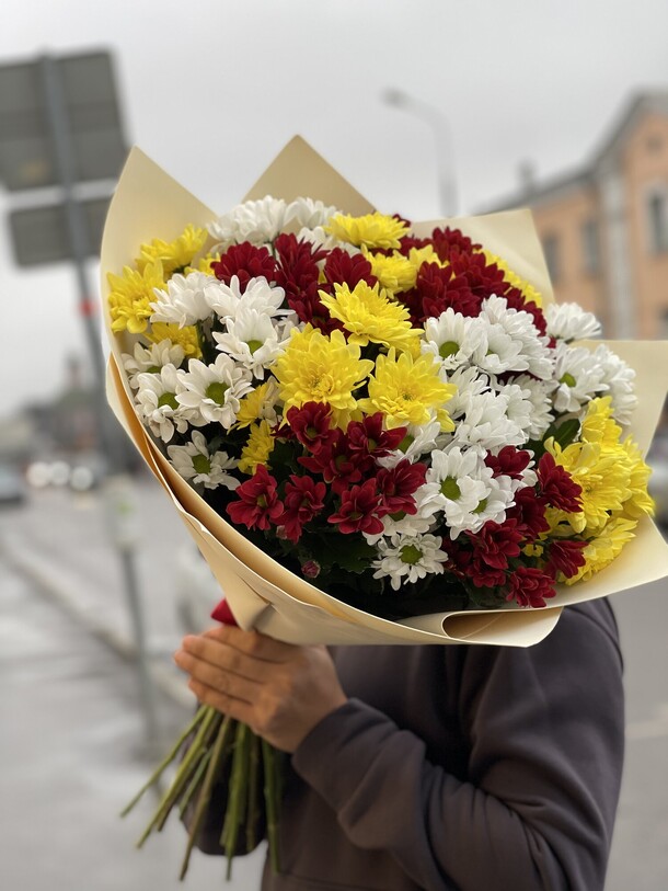 Хризантема кустовая, артикул F1156128 - 4545 рублей, доставка по городу. Flawery - доставка цветов