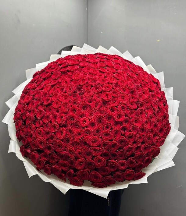 Красные розы, артикул F1249168 - 75131 рублей, доставка по городу. Flawery - доставка цветов