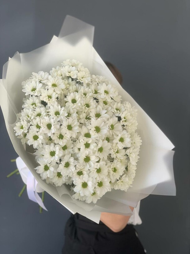 Стойкие хризантемы, артикул F1302597 - 5800 рублей, доставка по городу. Flawery - доставка цветов