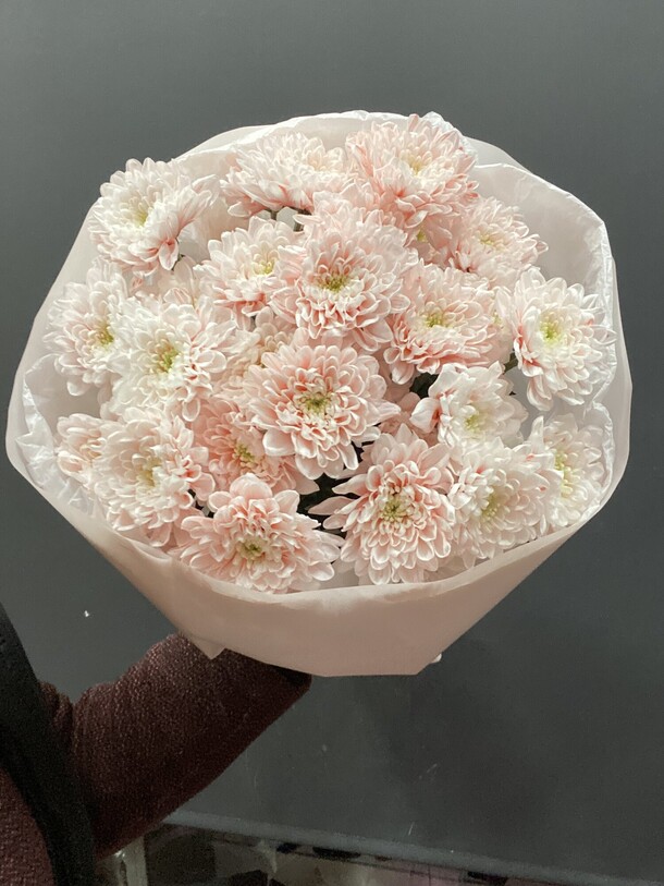 Букет пухляш #14, артикул F1266627 - 3500 рублей, доставка по городу. Flawery - доставка цветов