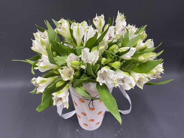 Букет альстромерий в коробке #29, артикул F1266696 - 4950 рублей, доставка по городу. Flawery - доставка цветов