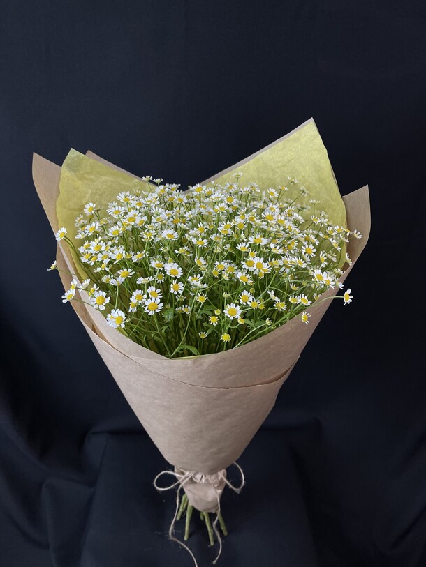 Букет ромашек «летняя любовь», артикул F1333579 - 3199 рублей, доставка по городу. Flawery - доставка цветов