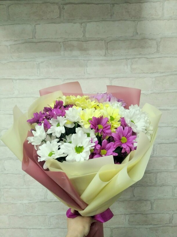 Разноцветные хризантемы, артикул F1363051 - 3861 рублей, доставка по городу. Flawery - доставка цветов