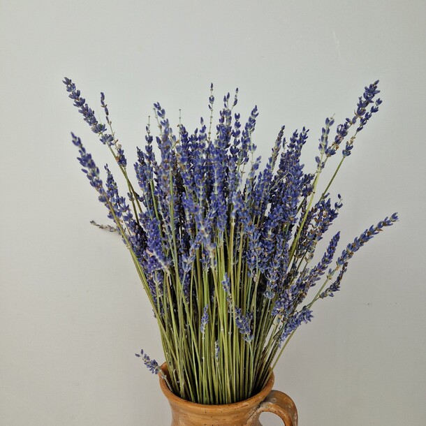 Лаванда сушеная букет, артикул F1408960 - 2990 рублей, доставка по городу. Flawery - доставка цветов