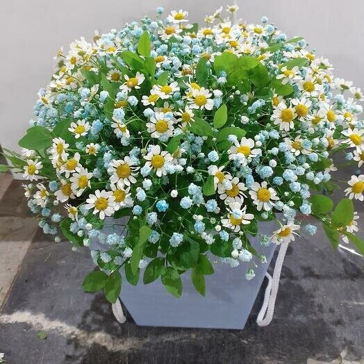 Ромашковое облако, артикул F1090725 - 4050 рублей, доставка по городу. Flawery - доставка цветов