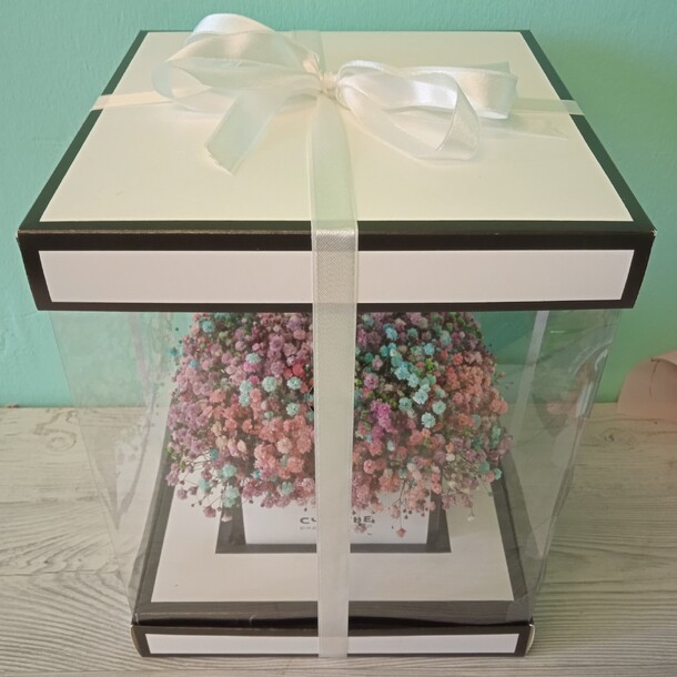 Гипсофила в коробке счастье рядом с тобой, артикул F1116950 - 4050 рублей, доставка по городу. Flawery - доставка цветов