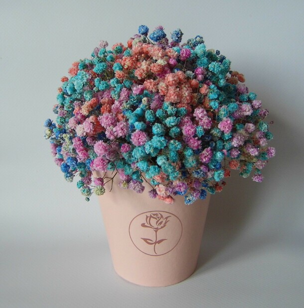 Цветная гипсофила в стаканчике радужное капучино, артикул F1133496 - 2100 рублей, доставка по городу. Flawery - доставка цветов