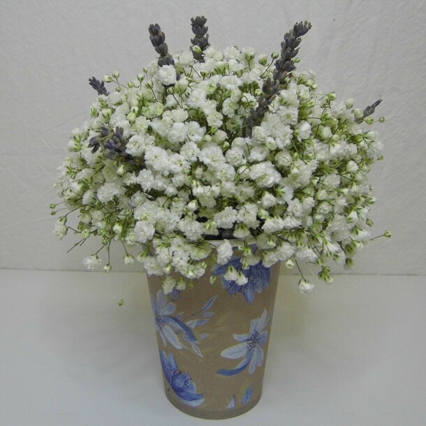 Гипсофила с лавандой в крафтовом стаканчике, артикул F1152298 - 1800 рублей, доставка по городу. Flawery - доставка цветов