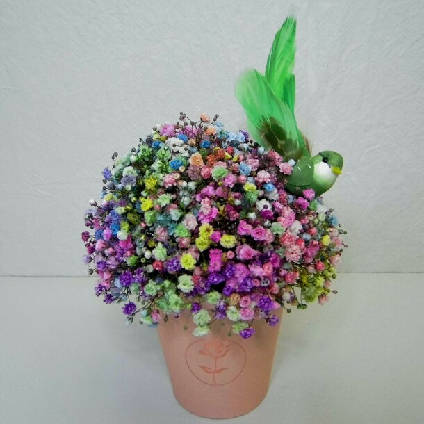 Цветная гипсофила в стаканчике птичка, артикул F1154715 - 2250 рублей, доставка по городу. Flawery - доставка цветов