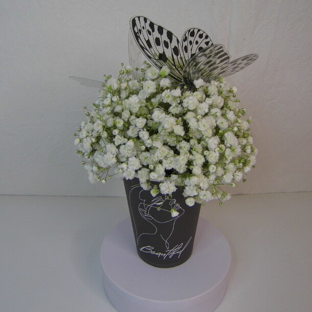 Гипсофила в крафтовом стаканчике "прекрасная", артикул F1176952 - 1800 рублей, доставка по городу. Flawery - доставка цветов