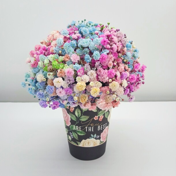 Радужначя гипсофила в стаканчике "ты лучшая", артикул F1207494 - 1800 рублей, доставка по городу. Flawery - доставка цветов