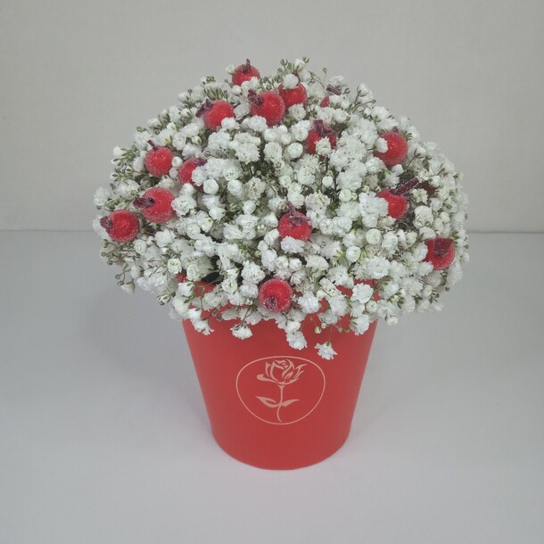 Композиция из гипсофилы в стаканчике "морозная клюква", артикул F1228787 - 2100 рублей, доставка по городу. Flawery - доставка цветов