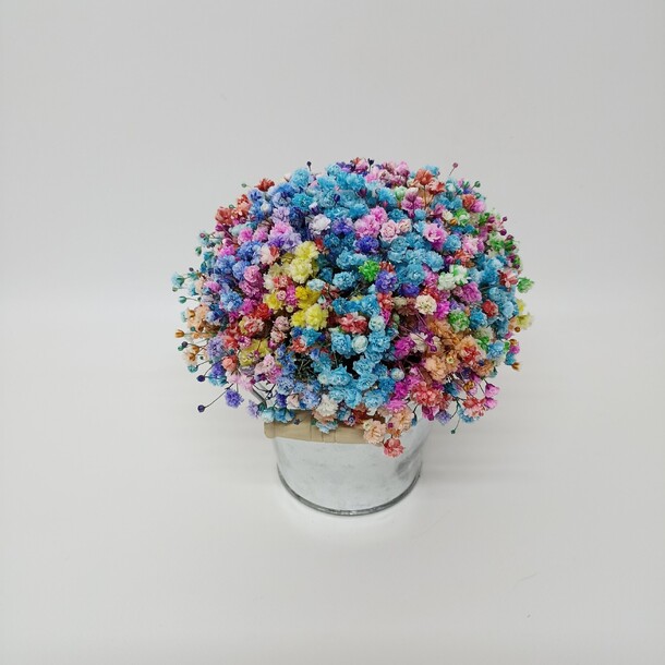 Радужная гипсофила в ведерке, артикул F1377928 - 1800 рублей, доставка по городу. Flawery - доставка цветов