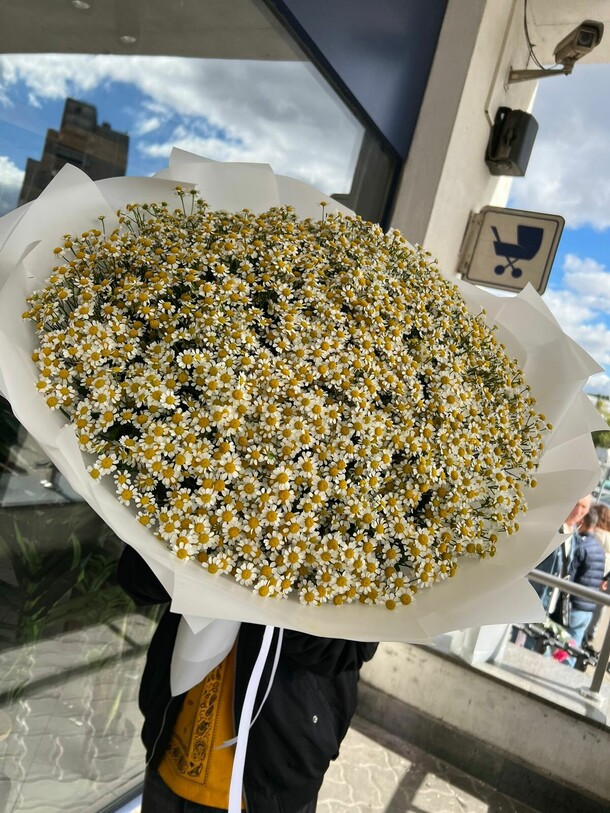 101 кустовая ромашка, артикул F1143433 - 28100 рублей, доставка по городу. Flawery - доставка цветов