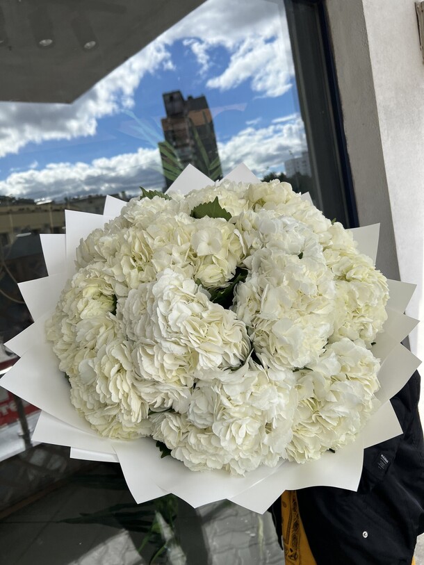 Белые гортензии 21 шт, артикул F1143448 - 23945 рублей, доставка по городу. Flawery - доставка цветов
