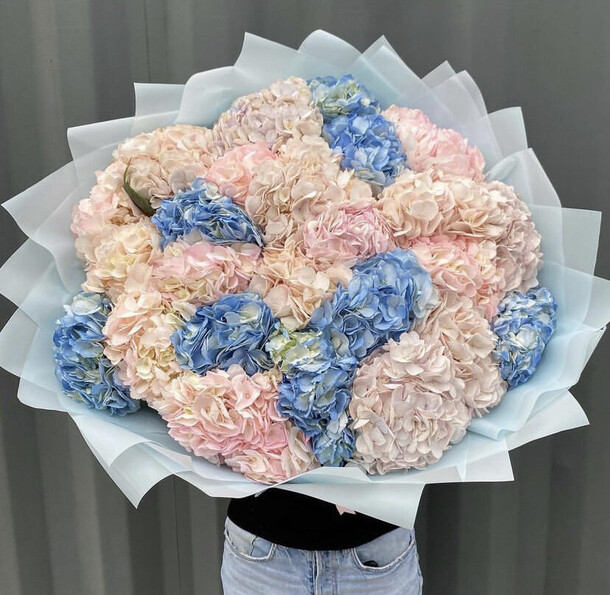 25 гортензия микс, артикул F1187506 - 28900 рублей, доставка по городу. Flawery - доставка цветов
