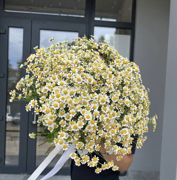 Ромашки 51, артикул F1204613 - 17890 рублей, доставка по городу. Flawery - доставка цветов