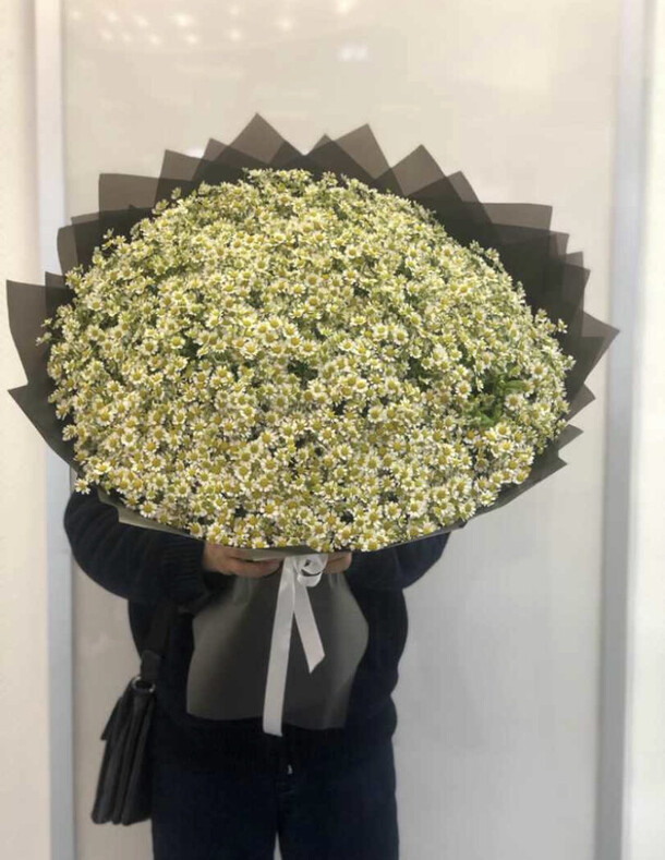 Ромашки 😍, артикул F1217688 - 33499 рублей, доставка по городу. Flawery - доставка цветов