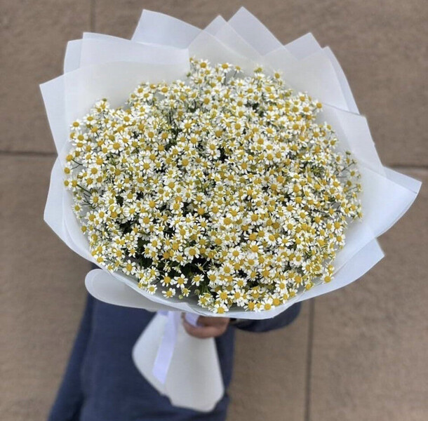 25 веток ромашек, артикул F1219662 - 13838 рублей, доставка по городу. Flawery - доставка цветов