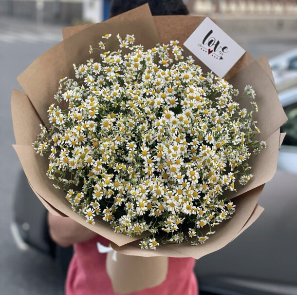 25 веток ромашек, артикул F1219683 - 16078 рублей, доставка по городу. Flawery - доставка цветов