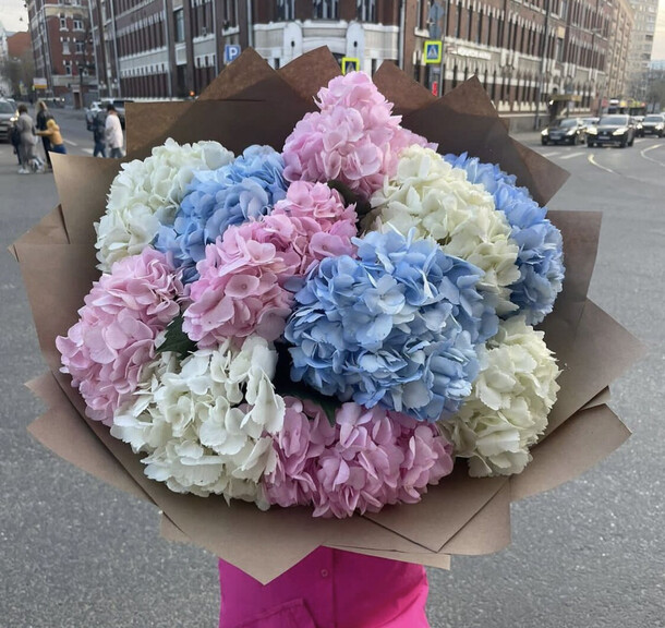 Букет гортензии микс, артикул F1223670 - 19914 рублей, доставка по городу. Flawery - доставка цветов