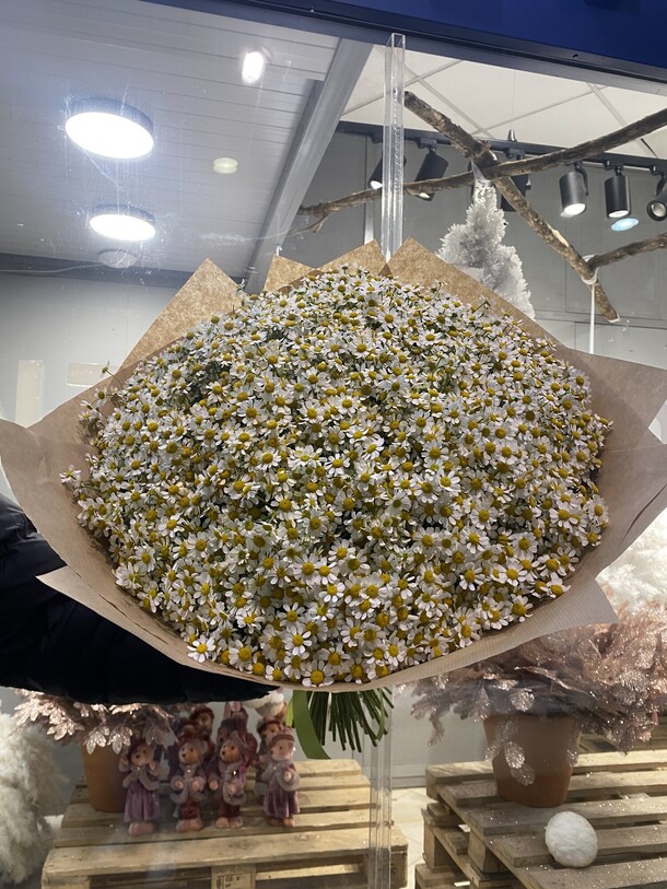 Ромашки 51 шт, артикул F1224611 - 16350 рублей, доставка по городу. Flawery - доставка цветов