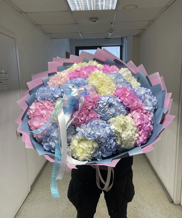 Гортензия микс 25, артикул F1261014 - 35791 рублей, доставка по городу. Flawery - доставка цветов