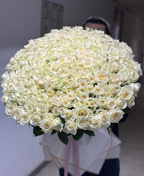 151 роза 80 см 🤍, артикул F1304748 - 71861 рублей, доставка по городу. Flawery - доставка цветов