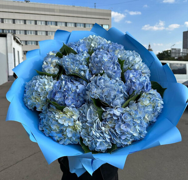 15 голубая гортензия 💙, артикул F1305121 - 18100 рублей, доставка по городу. Flawery - доставка цветов
