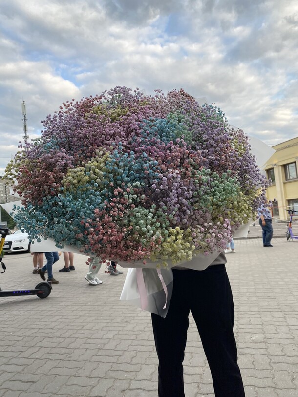 51 гипсофила радужная, артикул F1305124 - 25752 рублей, доставка по городу. Flawery - доставка цветов