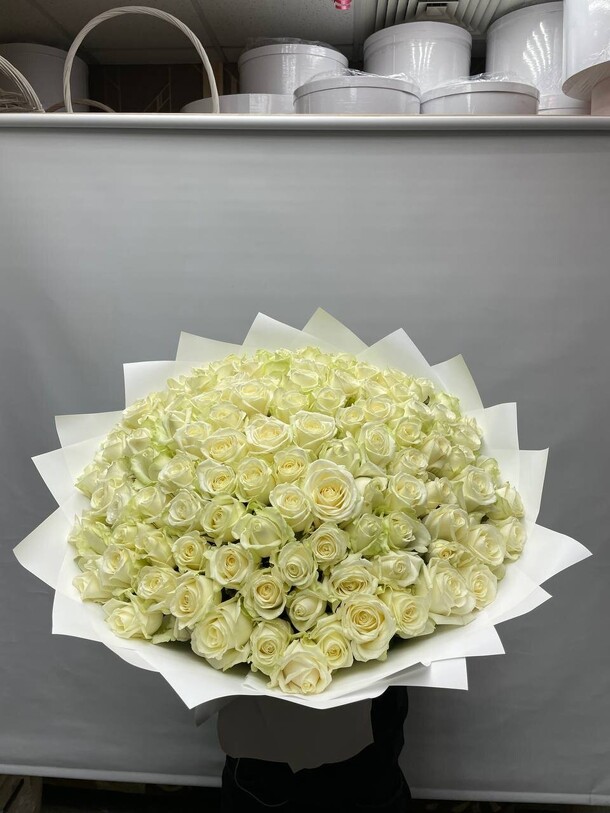 125 белая роза 🤍, артикул F1308518 - 51896 рублей, доставка по городу. Flawery - доставка цветов