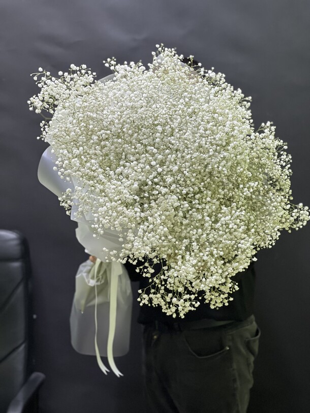 Гипсофилы белоснежные, артикул F1264580 - 11000 рублей, доставка по городу. Flawery - доставка цветов