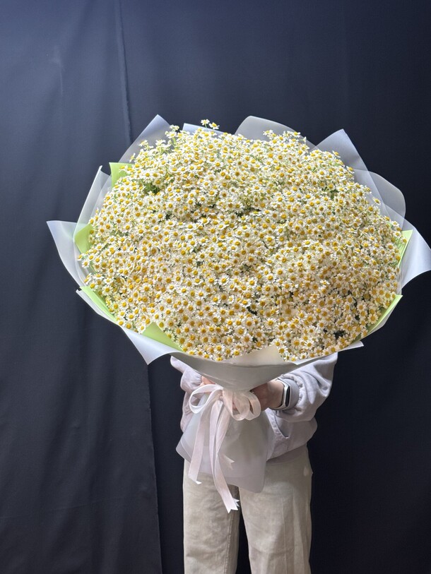 Кустовые ромашки 51 шт, артикул F1432115 - 15000 рублей, доставка по городу. Flawery - доставка цветов