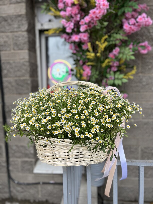 Ромашки в корзине, артикул F1273307 - 13900 рублей, доставка по городу. Flawery - доставка цветов