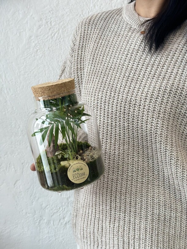 Флорариум террариум экосистемы с живыми растениями, артикул F1521650 - 11700 рублей, доставка по городу. Flawery - доставка цветов