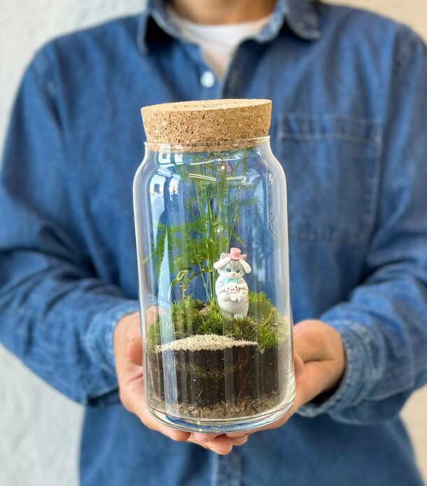 Флорариум, артикул F1530516 - 8100 рублей, доставка по городу. Flawery - доставка цветов