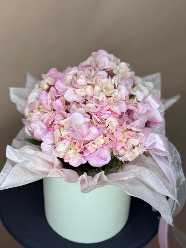 Гортензией в коробочке, артикул F1283430 - 2360 рублей, доставка по городу. Flawery - доставка цветов