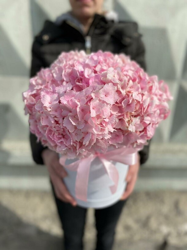 Розовая гортензия в коробочке, артикул F108941 - 6477 рублей, доставка по городу. Flawery - доставка цветов