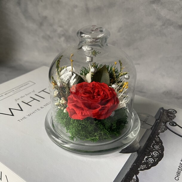 Красная роза в мини колбе, артикул F1487354 - 3700 рублей, доставка по городу. Flawery - доставка цветов