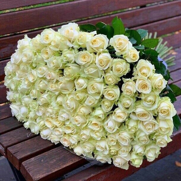 131 белая роза 70 см, артикул F1236369 - 26500 рублей, доставка по городу. Flawery - доставка цветов