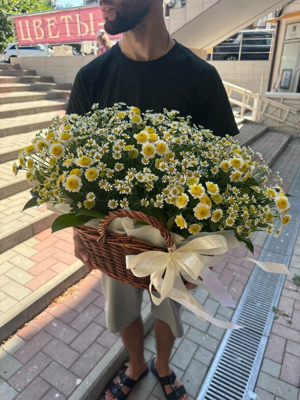 Корзина ромашек, артикул F1308531 - 15000 рублей, доставка по городу. Flawery - доставка цветов