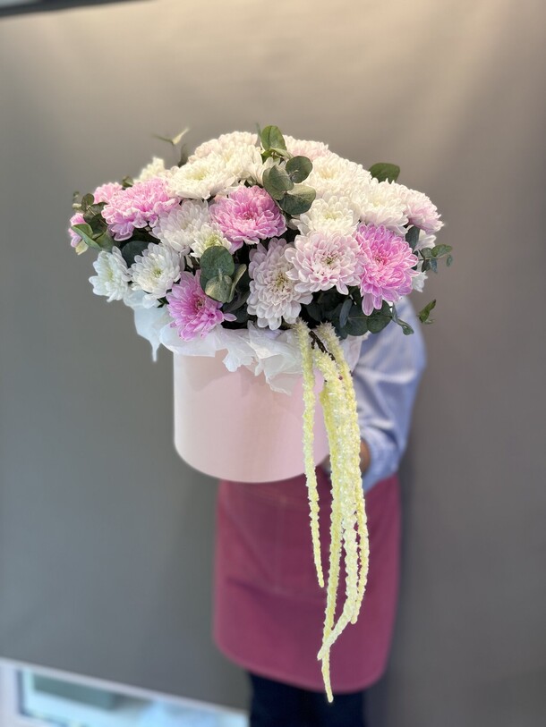 Хризантемы радужные в коробке, артикул F1423257 - 4500 рублей, доставка по городу. Flawery - доставка цветов